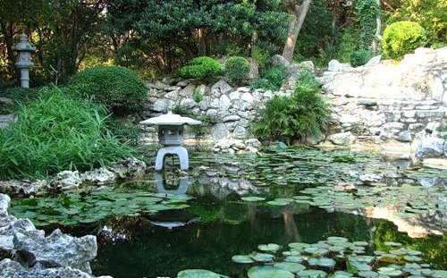 водоем в японском саду