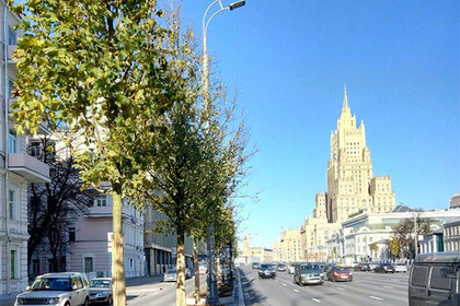 В центре Москвы завершилась высадка деревьев
