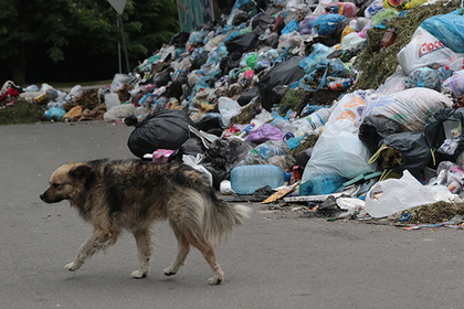 Заметившим мусор в Подмосковье перечислят по 100 рублей на телефон