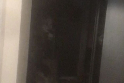 Британская телеведущая опубликовала фото захвативших ее дом призраков