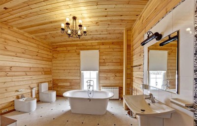 Ванная комната в частном доме: какой дизайн выбрать?